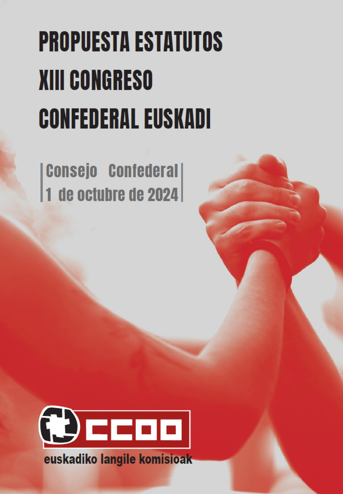 Propuesta Estatutos XIII Congreso CCOO de Euskadi