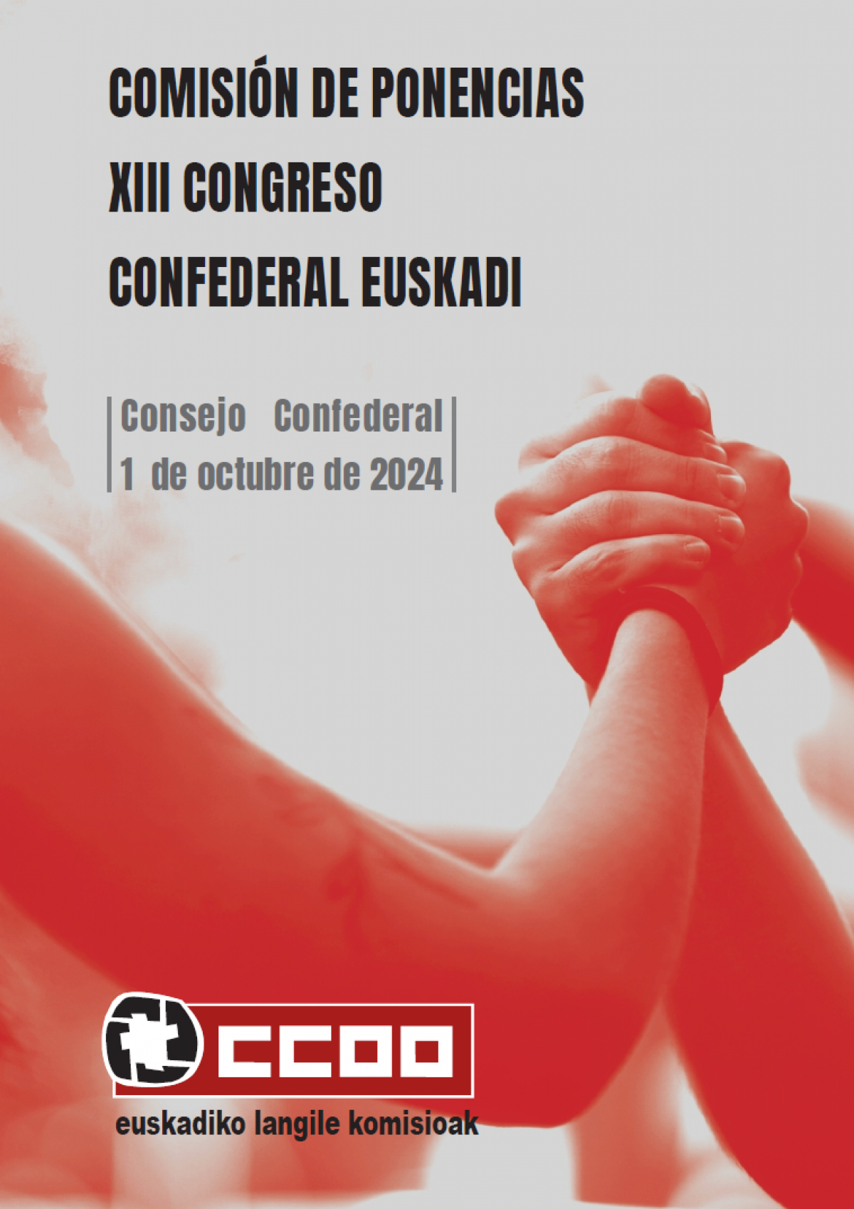 Propuesta Ponencia XIII Congreso CCOO de Euskadi